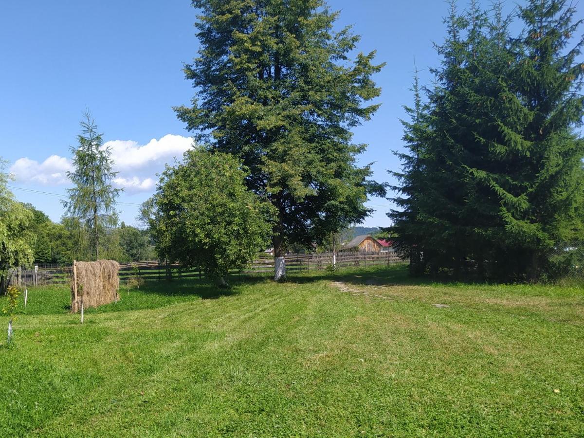 Casa Moldovita Exteriör bild