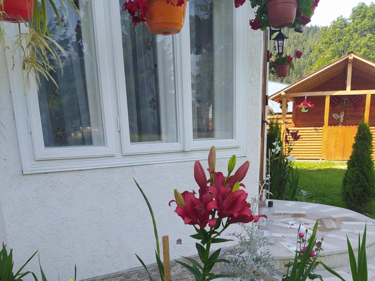 Casa Moldovita Exteriör bild