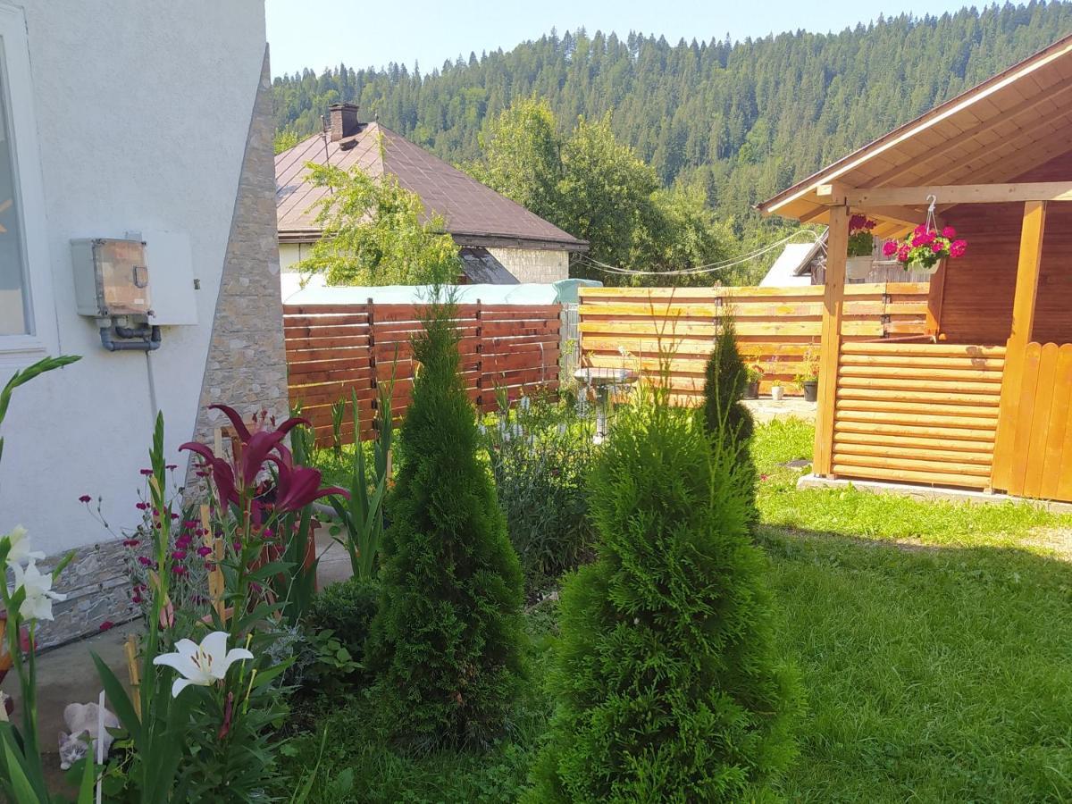Casa Moldovita Exteriör bild